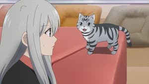 Episódio 1 - Impossível - Kawaisugi Crisis