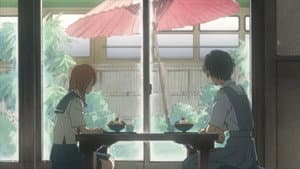 Episódio 8 - Episódio 8 - Flores Azuis