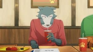 Episódio 6 - Sonho ou realidade? - BEASTARS - O Lobo Bom