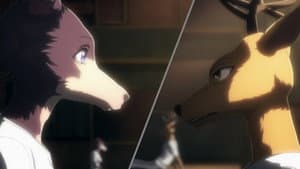 Episódio 8 - Como fio dental entre os dentes - BEASTARS - O Lobo Bom
