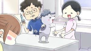 Episódio 6 - O veterinário - Inu to Neko Docchi mo Katteru to Mainichi Tanoshii