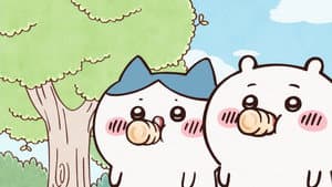 Episódio 8 - Episódio 8 - Chiikawa