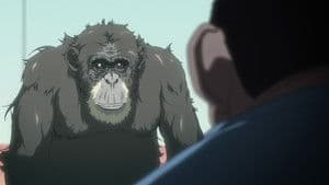 Episódio 3 - Heterose - O Incidente de Darwin