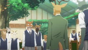 Episódio 2 - Os melhores da escola - BEASTARS - O Lobo Bom