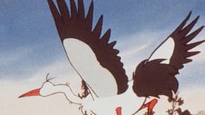Episódio 7 - Episódio 7 - The Wonderful Adventures of Nils Holgersson