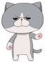 Neko-senpai