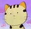 Tora