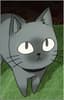 Baabu