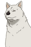 Inu