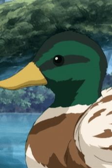 Kamo