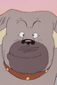 Don Matsugorou