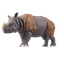 Cyrus