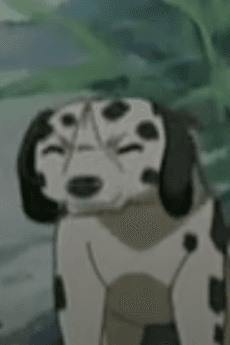 Koinu