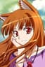 Holo