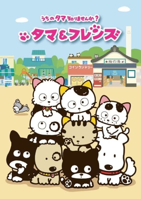 Pôster oficial do anime Tama & Friends: Uchi no Tama Shirimasen ka? em português