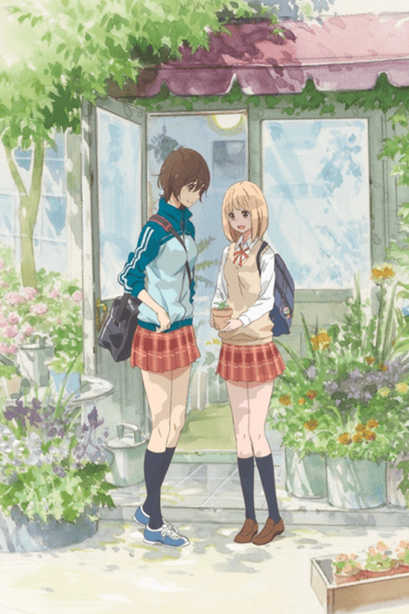 Pôster oficial do anime Kase-san and Morning Glories em português