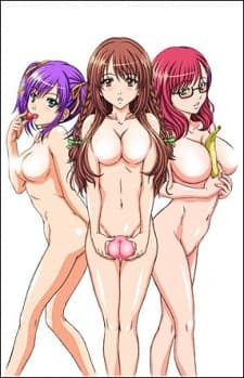 Pôster oficial do anime Закрытая школа em português