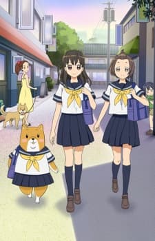 Pôster de Shiba Inuko-san