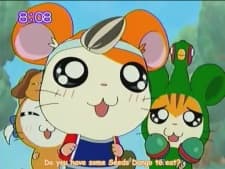 Pôster de Hamtaro Hai!