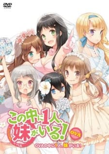 Pôster de NAKAIMO - My Little Sister Is Among Them!: Ani, Imouto, Koibito