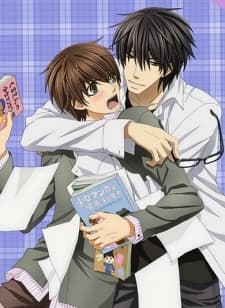 Pôster de Sekaiichi Hatsukoi: Valentine-hen