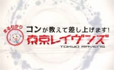 Pôster oficial do anime Kon ga Oshiete Moshi Agemasu! Maru Wakari TOKYO RAVENS em português