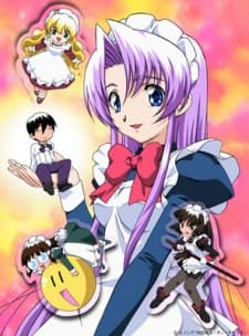 Pôster de Hanaukyou Maid-tai