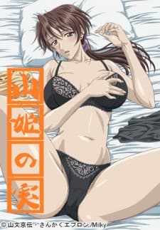 Pôster oficial do anime Yama Hime no Mi em português