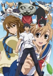 Pôster oficial do anime Nyan Koi! em português
