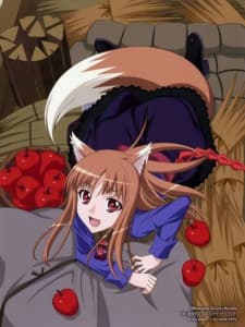 Pôster de Spice and Wolf II Specials