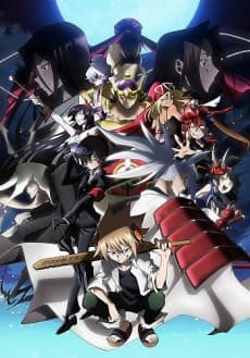 Pôster de Shaman King Flowers