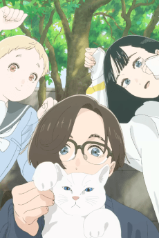 Pôster oficial do anime Sui Kin Chi Ka Moku Dotten Amen SP Dance PV em português
