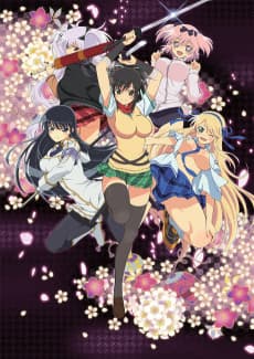 Pôster de Senran Kagura