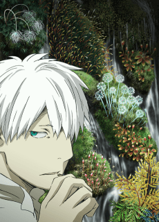 Pôster de MUSHI-SHI The Next Passage 2