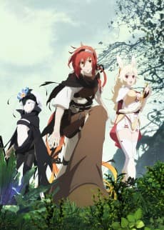 Pôster de Rokka ~Braves of the Six Flowers~