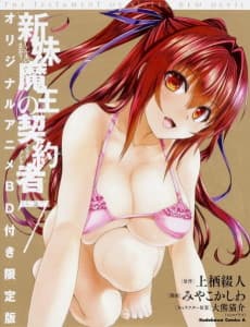 Pôster de The Testament of Sister New Devil BURST: Tojo Basara’s Perfectly Peaceful Daily Life