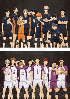 Pôster de HAIKYU!! 3rd Season