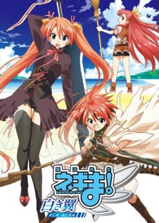 Pôster de Mahou Sensei Negima! Shiroki Tsubasa ALA ALBA