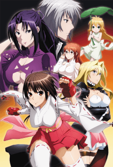 Pôster de Sekirei: Pure Engagement