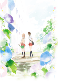 Pôster de Your Light: Kase-san and Morning Glories