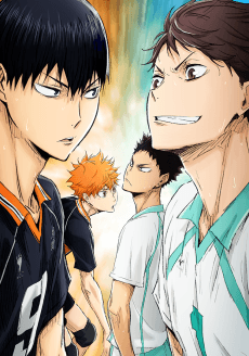 Pôster de HAIKYU!! O Talento e o Instinto