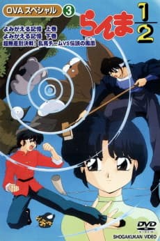 Pôster de Ranma 1/2 Special