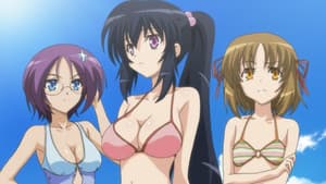 Episódio 2 - Corrida de gatos na praia - Omamori Himari