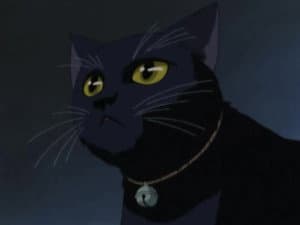 Episódio 8 - Episódio 8 - Asagiri No Miko