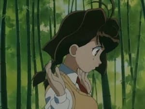 Episódio 1 - Episódio 1 - Jubei-chan: The Ninja Girl