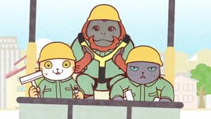 Episódio 5 - Episódio 5 - Working Buddies!