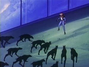 Episódio 7 - Episódio 7 - Hurricane Polymar