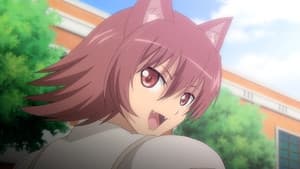 Episódio 1 - Episódio 1 - Shining Tears X Wind