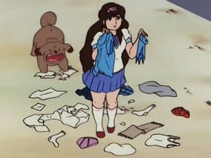 Episódio 5 - Episódio 5 - The♥Kabocha Wine