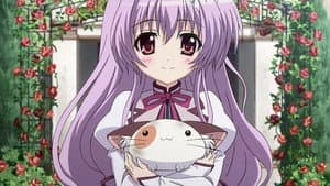 Episódio 8 - Episódio 8 - Mashiroiro Symphony: The Color Of Lovers